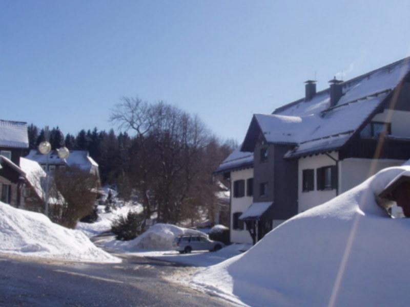 Ferienwohnung Am Kurpark Braunlage Extérieur photo