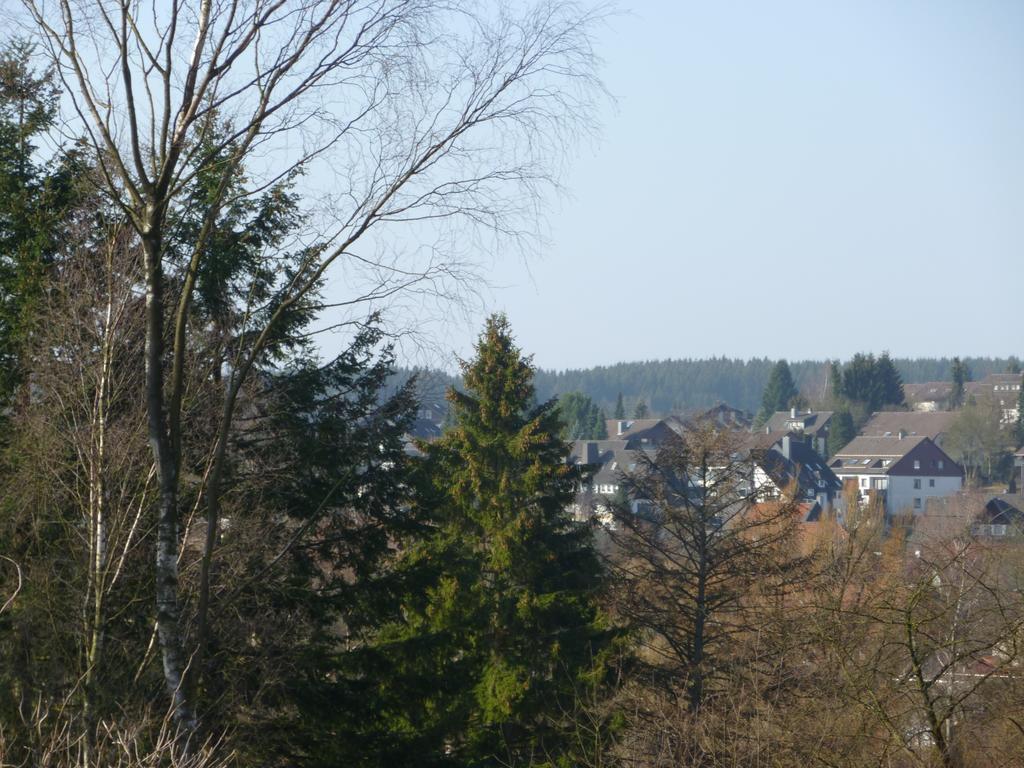 Ferienwohnung Am Kurpark Braunlage Extérieur photo